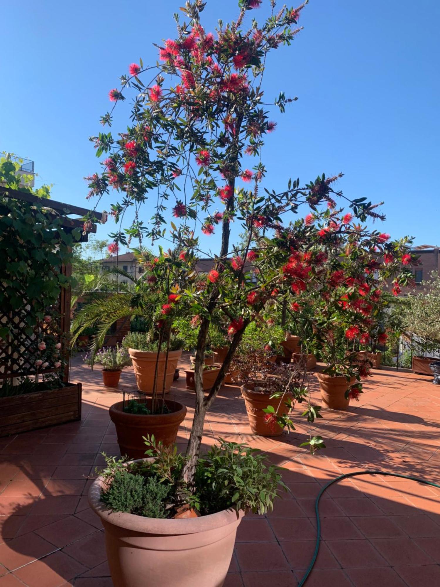 Appartamento La Terrazza Da Ernestina