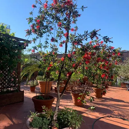 Ferienwohnung La Terrazza Da Ernestina Lucca Exterior foto