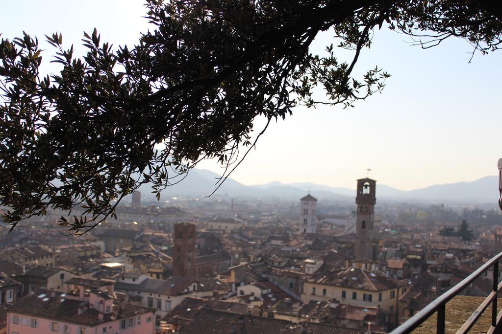 La Terrazza Da Ernestina