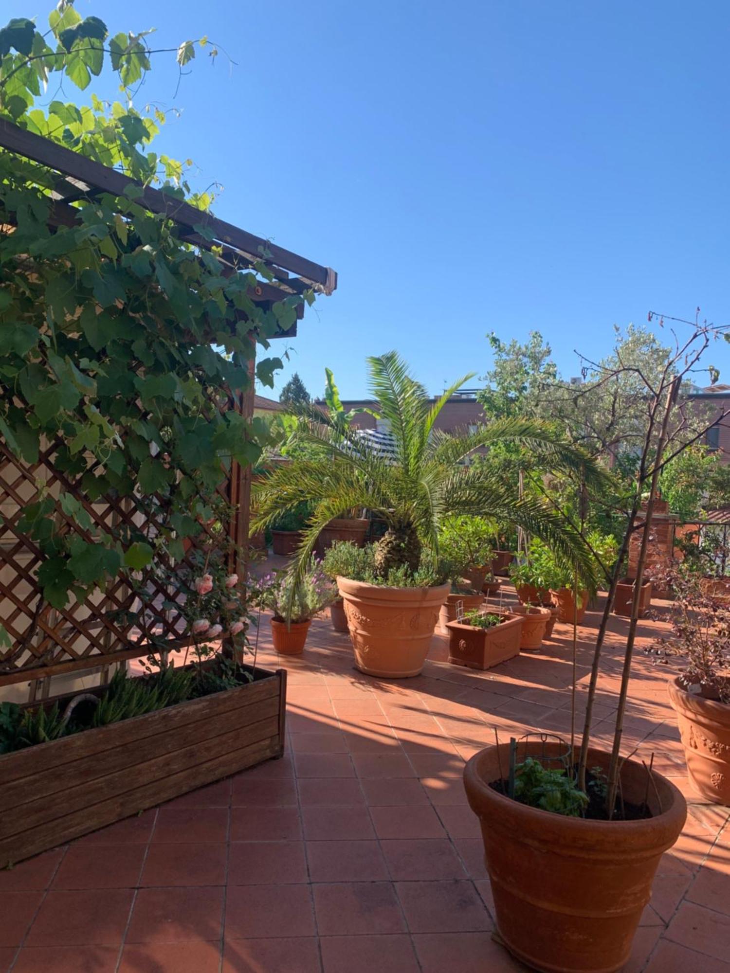 La Terrazza Da Ernestina Apartment